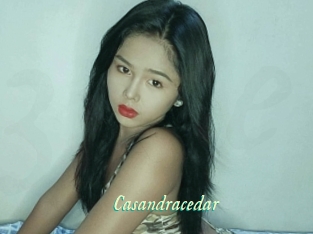 Casandracedar