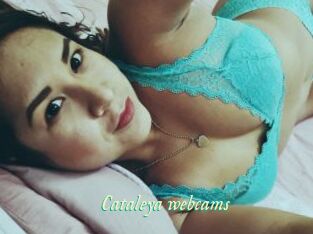 Cataleya_webcams