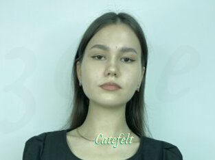 Catefelt