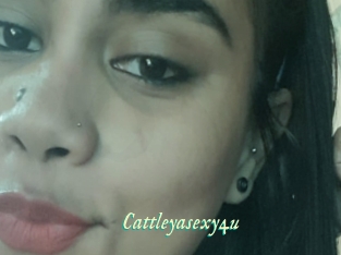 Cattleyasexy4u