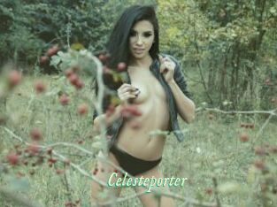 Celesteporter