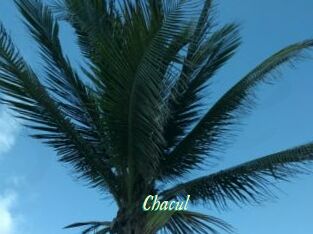 Chacul