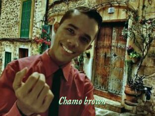 Chamo_brown
