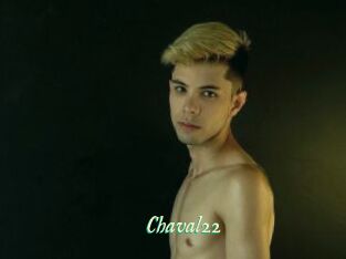 Chaval22