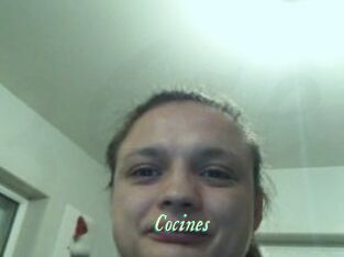 Cocines