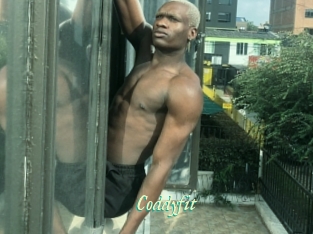 Coddyfit