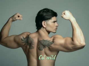 col_wild 365 Erotiek