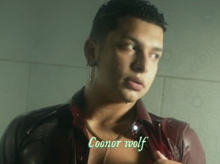 Coonor_wolf
