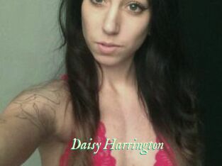 Daisy_Harrington