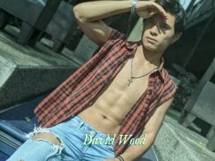 David_Wood