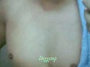 Diggstop