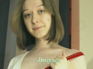 Daisycaspe