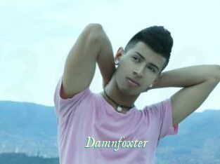 Damnfoxter