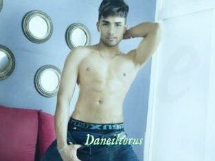 Daneil_torus