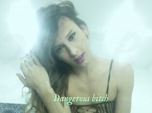 Dangerous_bitch
