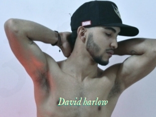 David_harlow