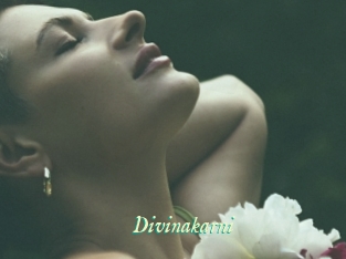 Divinakarni