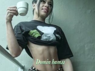 Domin_hamss