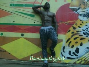 Dominantbigdick