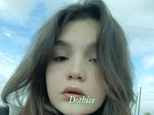 Dothice