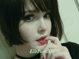 EllePurrsXO