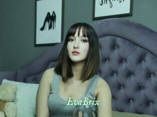 EvaBrix