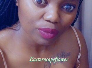 Easterncapeflower