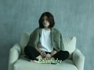 Edlinfudge