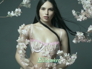 Elihawker