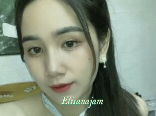 Elisanajam