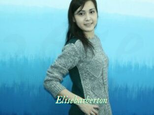 Elisebarberton