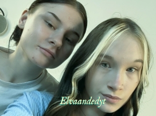 Elvaandedyt