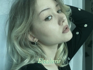 Elvacherie
