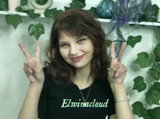 Elwinacloud