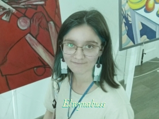 Elwynabuss