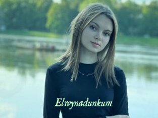 Elwynadunkum