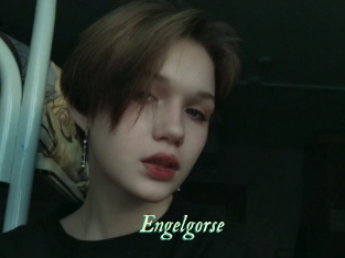 Engelgorse