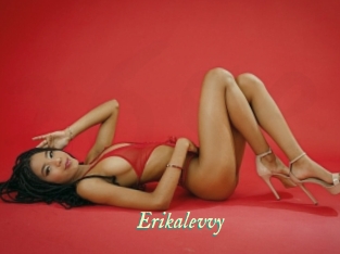 Erikalevvy