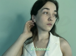 Erlenecodd
