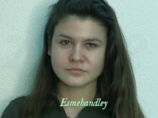 Esmehandley