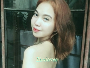 Eunicerose
