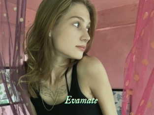 Evamate
