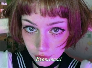 Evaminami