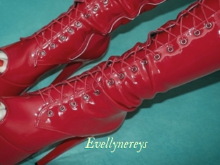 Evellynereys