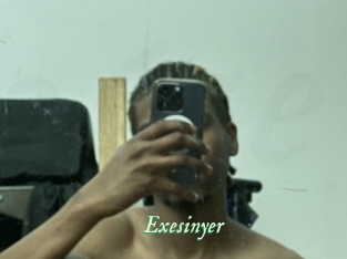 Exesinyer