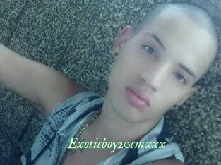 Exoticboy20cmxxx