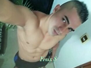 Fenix_S