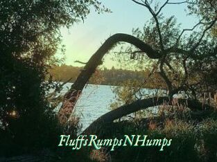 FluffsRumpsNHumps