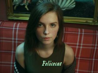 Felicecat