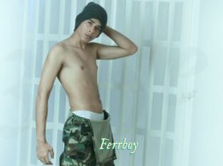 Ferrboy